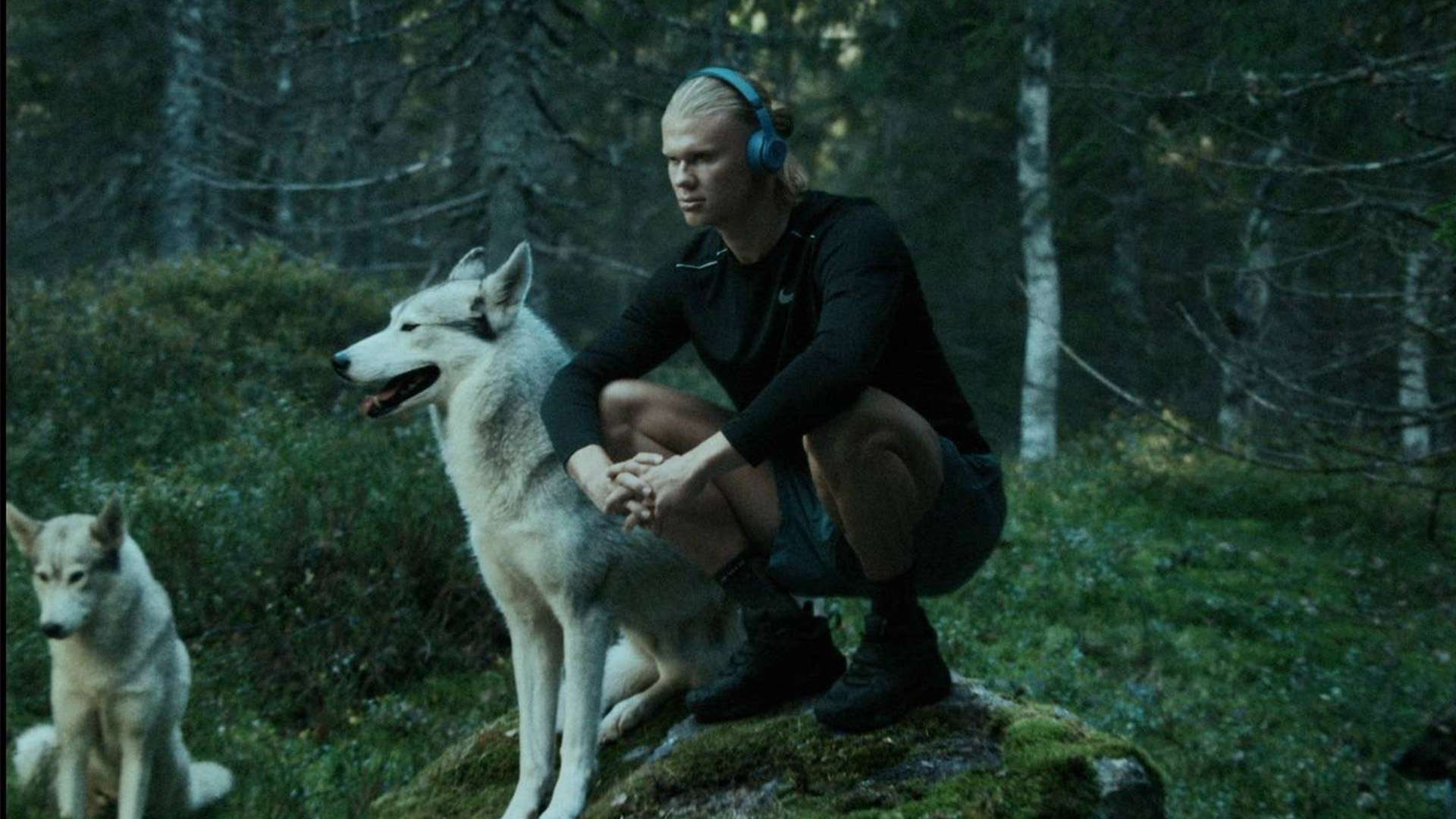 香港網站SEO排名2025｜Google搜尋流量四天王　如何幫助商業營銷.