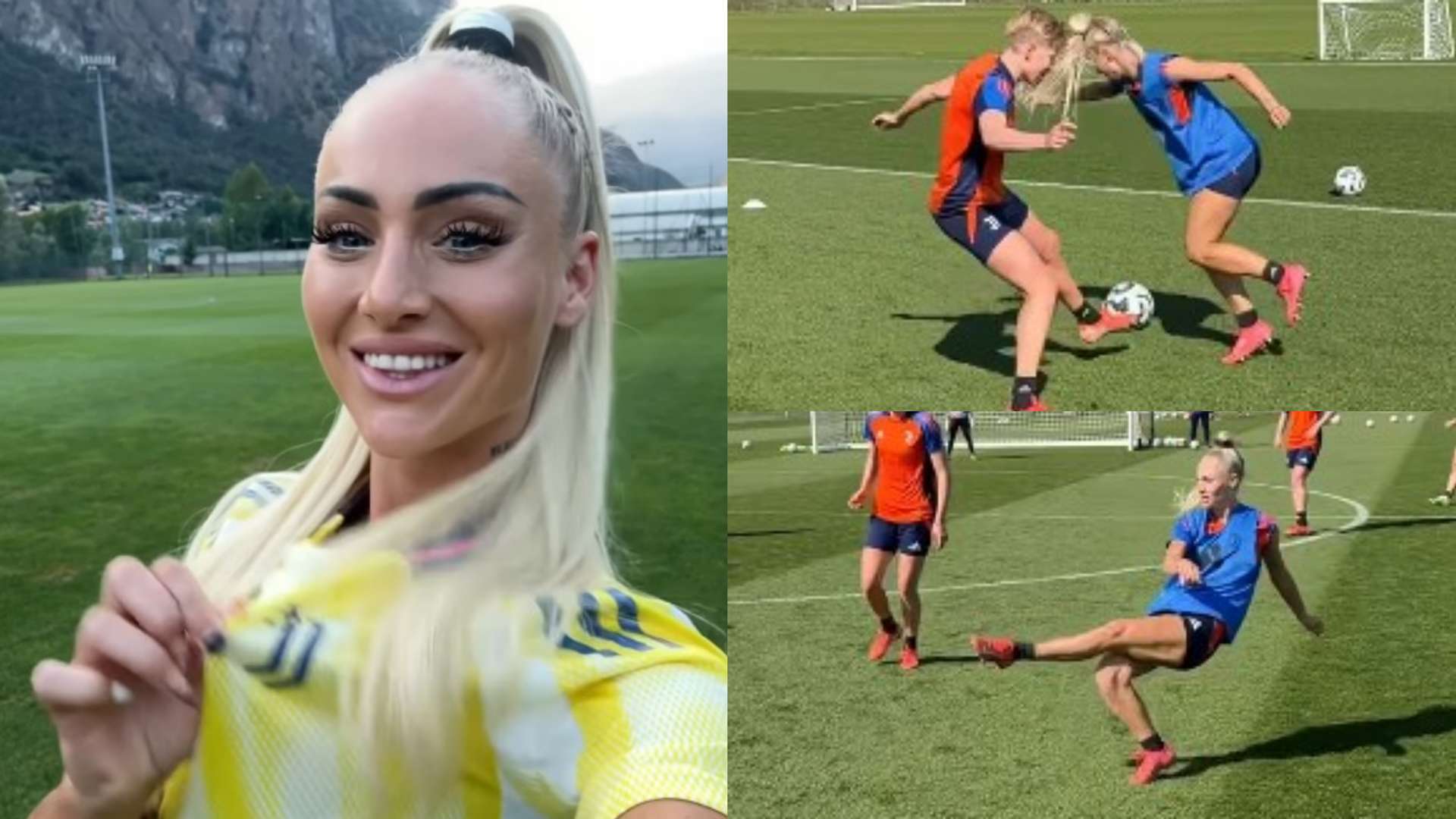 提供了寶貴 提供了寶貴